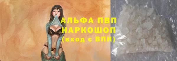 a pvp Аркадак