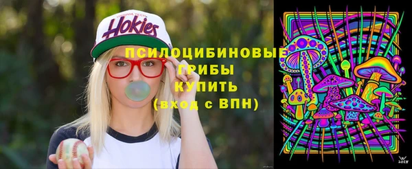 a pvp Аркадак