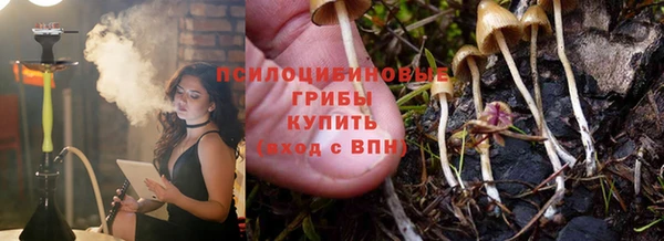 дмт Армянск
