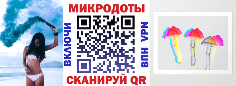 Псилоцибиновые грибы Psilocybe  Приволжск 